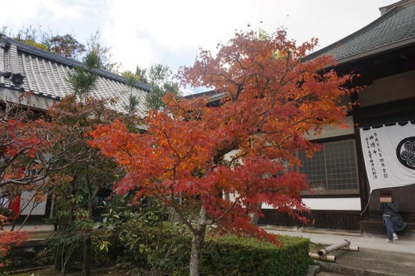 神應寺 紅葉まつり-13