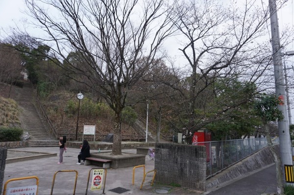 あらかし公園 桜 開花 -2