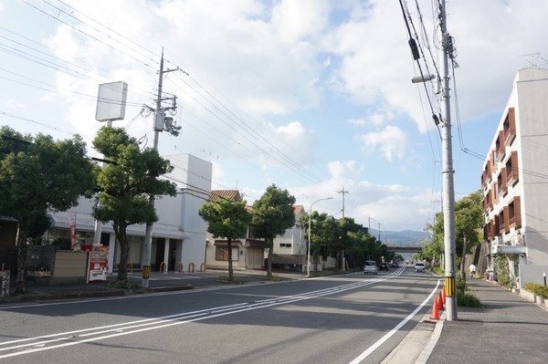 アンドアール 2024年11月-3