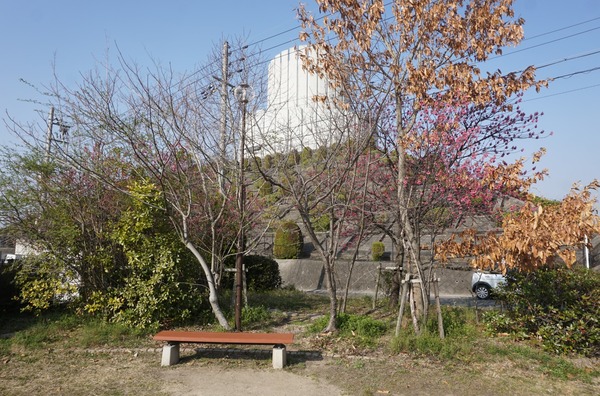 欽明つつじ公園-4