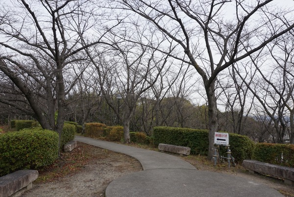 さくら公園 冬景色-3