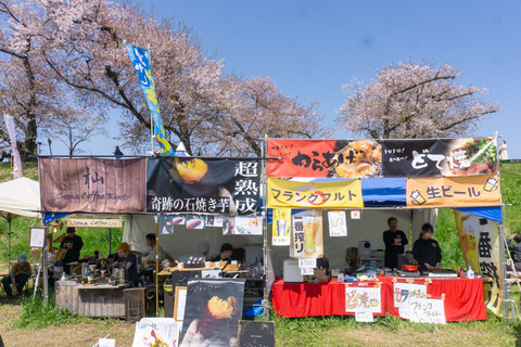 淀川河川公園背割地区-2304037