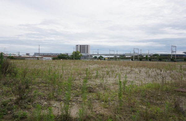 楠葉花園町43階建てタワマン 2024年6月-5