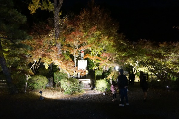 善法律寺 ライトアップ-5