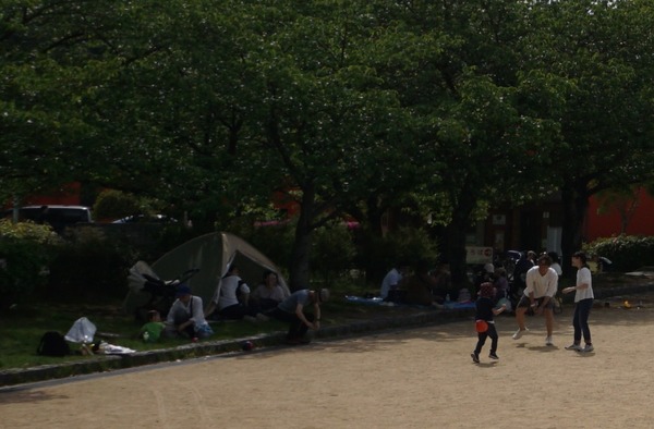 きんめい公園 202404282