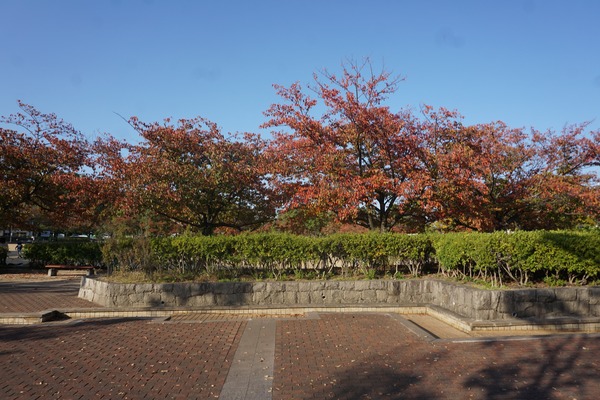 きんめい公園-1