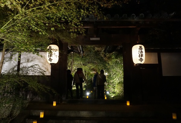 善法律寺 ライトアップ-2
