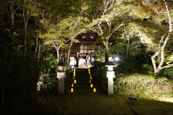 善法律寺 ライトアップ-4