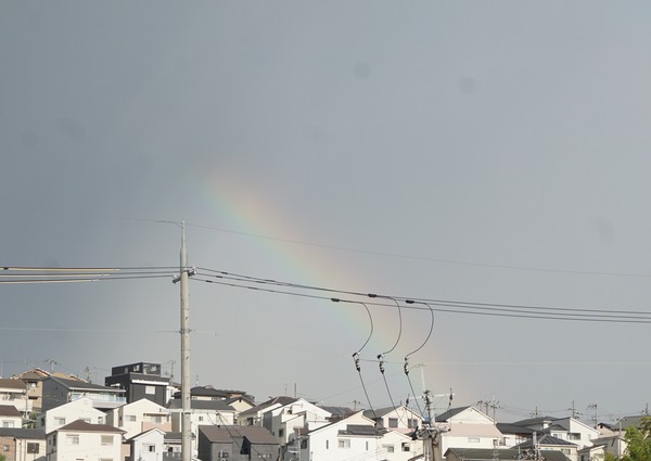 橋本 虹 -2023年8月27日-1