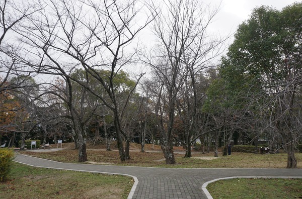 さくら公園 冬景色-4
