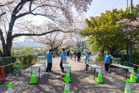 淀川河川公園背割地区-23040318