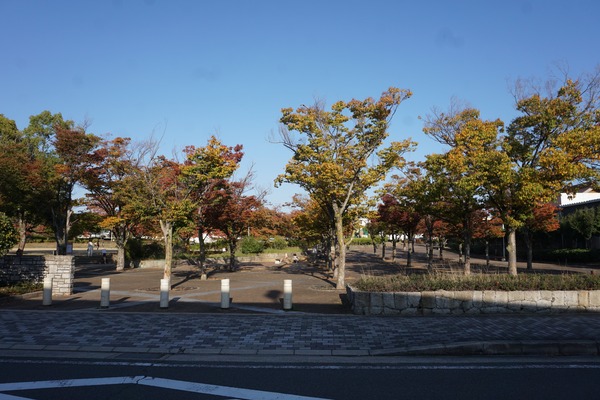 きんめい公園-3