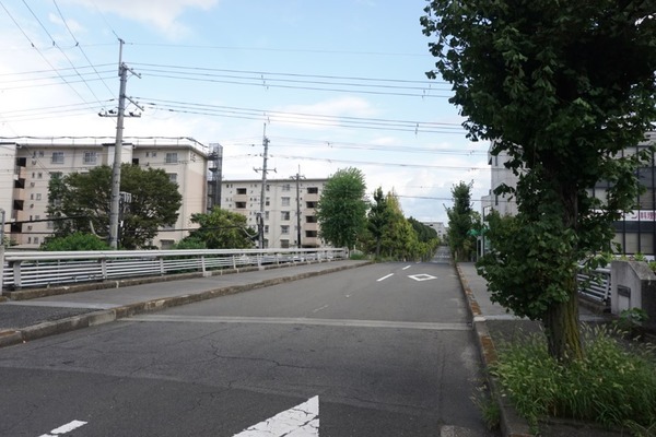 男山八望の陸橋-5