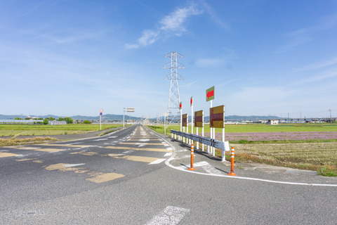 内里 レンゲ-2304233