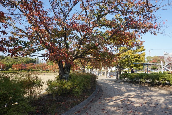 きんめい公園-6