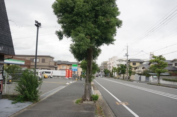 ファミリーマート男山金振店 リニューアル-2