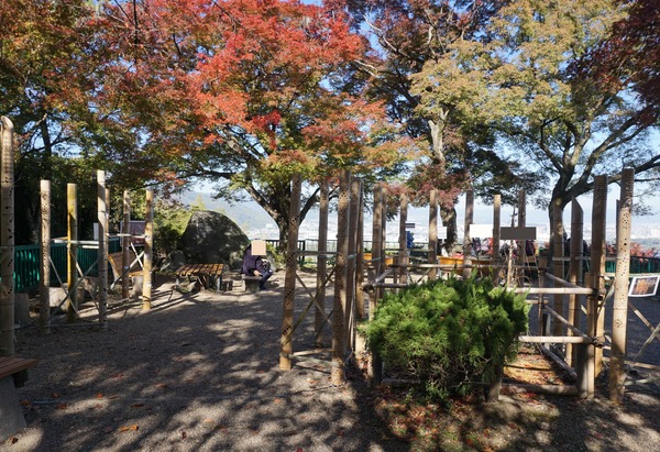 男山展望台 紅葉-1