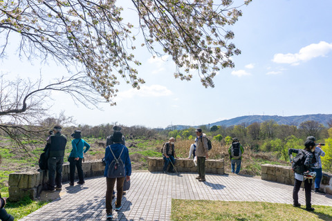 淀川河川公園背割地区-23040312