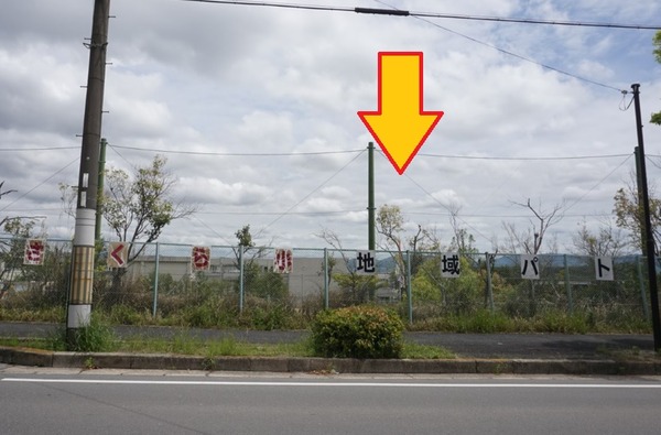 さくら小学校 鯉のぼり-2