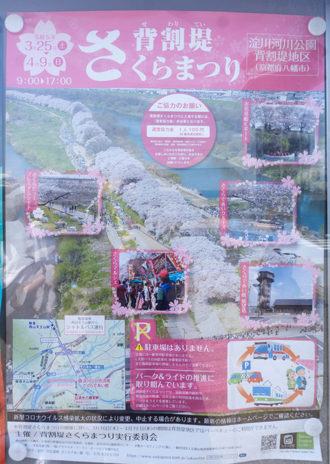 淀川河川公園背割地区-2304033