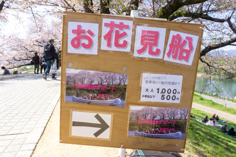 淀川河川公園背割地区-23040314