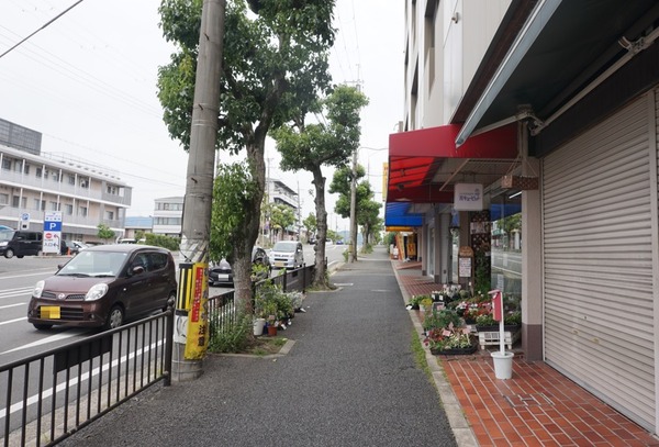 男山泉 ツバメの巣-3