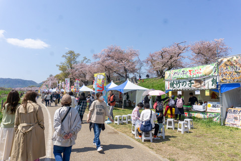 淀川河川公園背割地区-2304035
