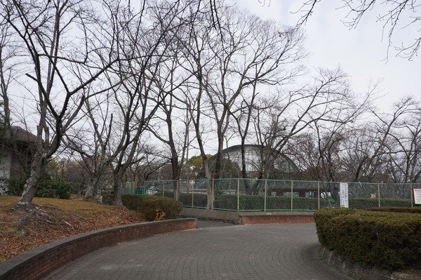 さくら公園 冬景色-5