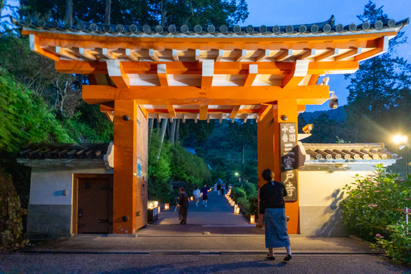 三室戸寺 あじさい -230618-3