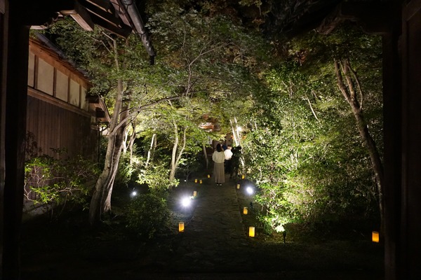 善法律寺 ライトアップ-3