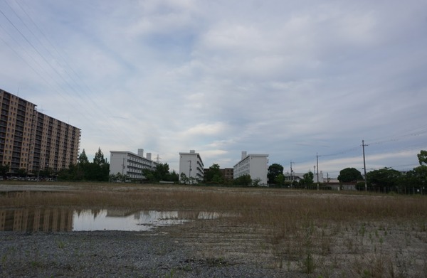 楠葉花園町43階建てタワマン 2024年6月-4
