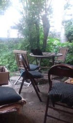 ゆうどさんにはにゃんこが来ます^^