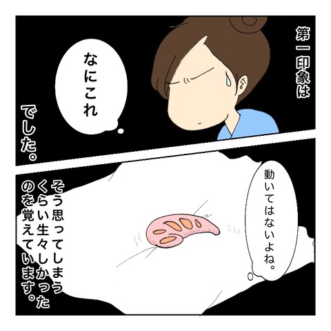 651C53F5-1E78-4636-AB0B-F402273C8EA8