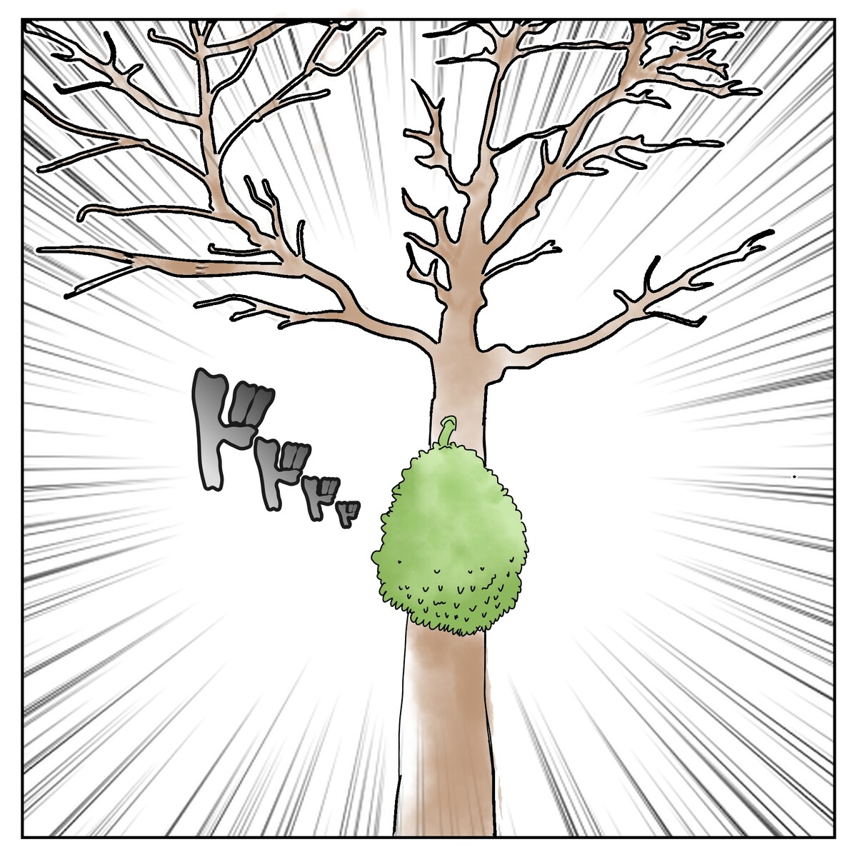 フィリピン話 ナンカってなんや⁉︎ 2 : やよいかめブログ Powered by ライブドアブログ