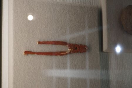 1023_yayoi4