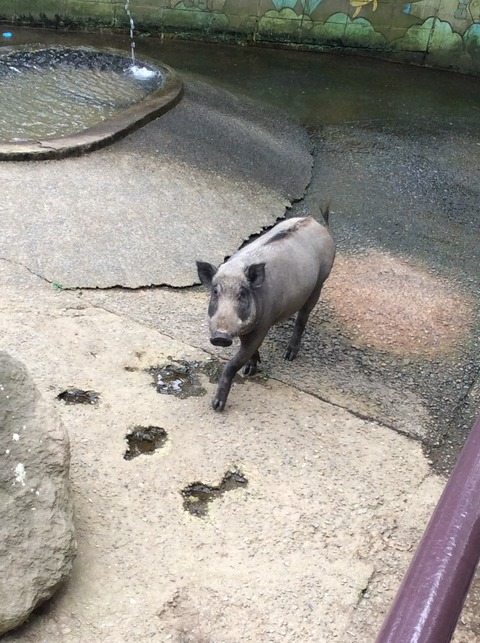 50C3FF1F-2DFB-4C22-8F4C-CF8714BD5CB5