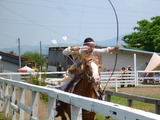 P1030240