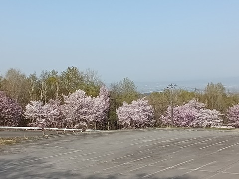 KIMG20260420_160006951