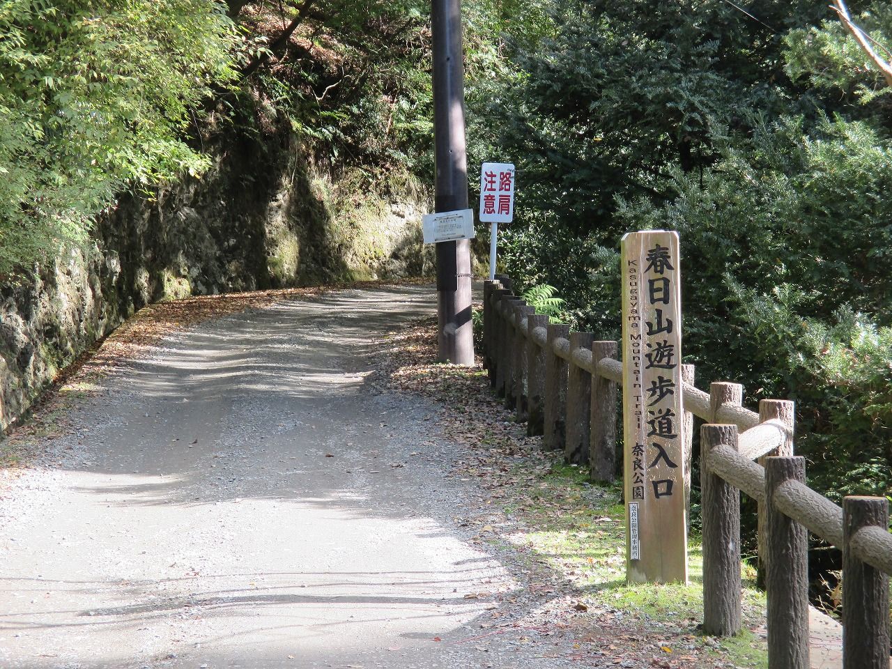 歩きを楽しむ歴史歩き / 歴史研究会
春日山原始林を歩く
コメント やゆ