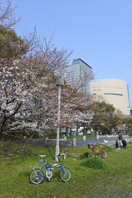 sDSC_9479