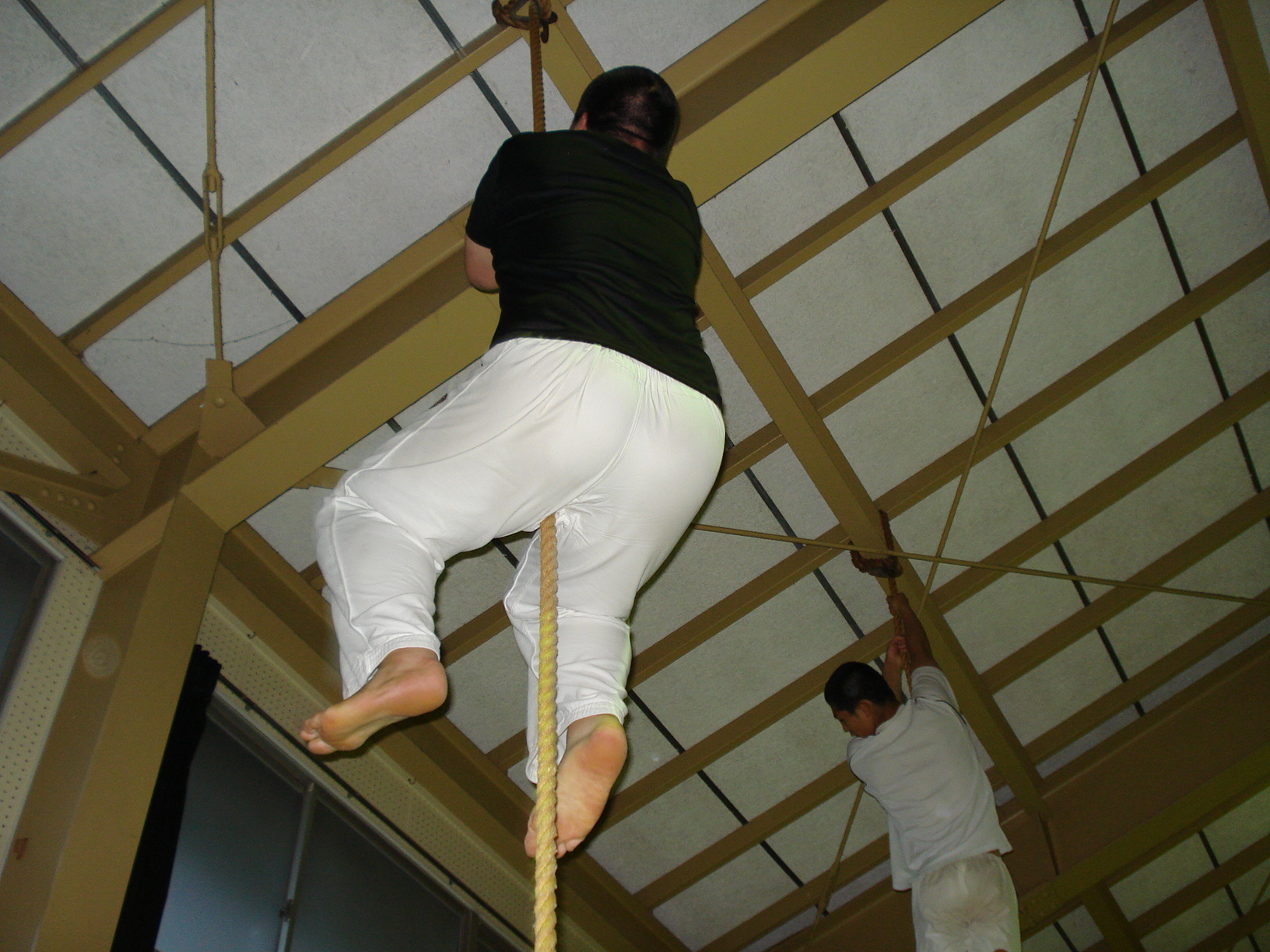 屋根より低い Yazu Judo Champion Road