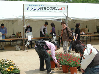 090503festival1