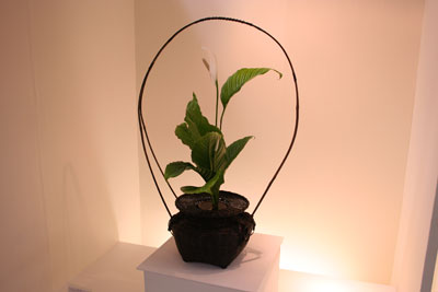 100516ikebana4