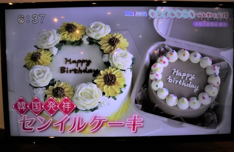 センイルケーキ