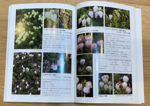 コーヤマ写真事務所2