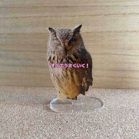 FullSizeRender
