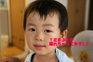 おいわさん佑弥 子育てにっき