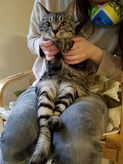 078AC7D6-8B01-46F4-9256-10E2FAAEC43C