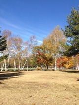 4154ae64.jpg