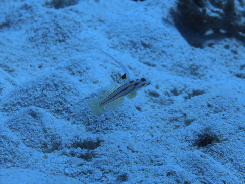 P9260230